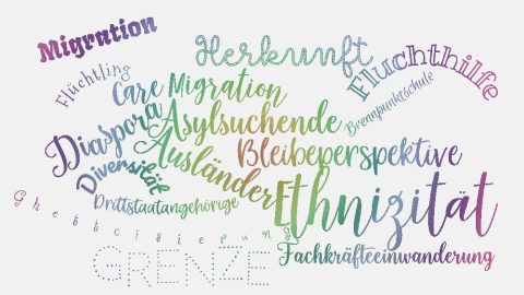 Inventar der Migrationsbegriffe