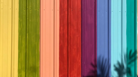Singen ist bunt